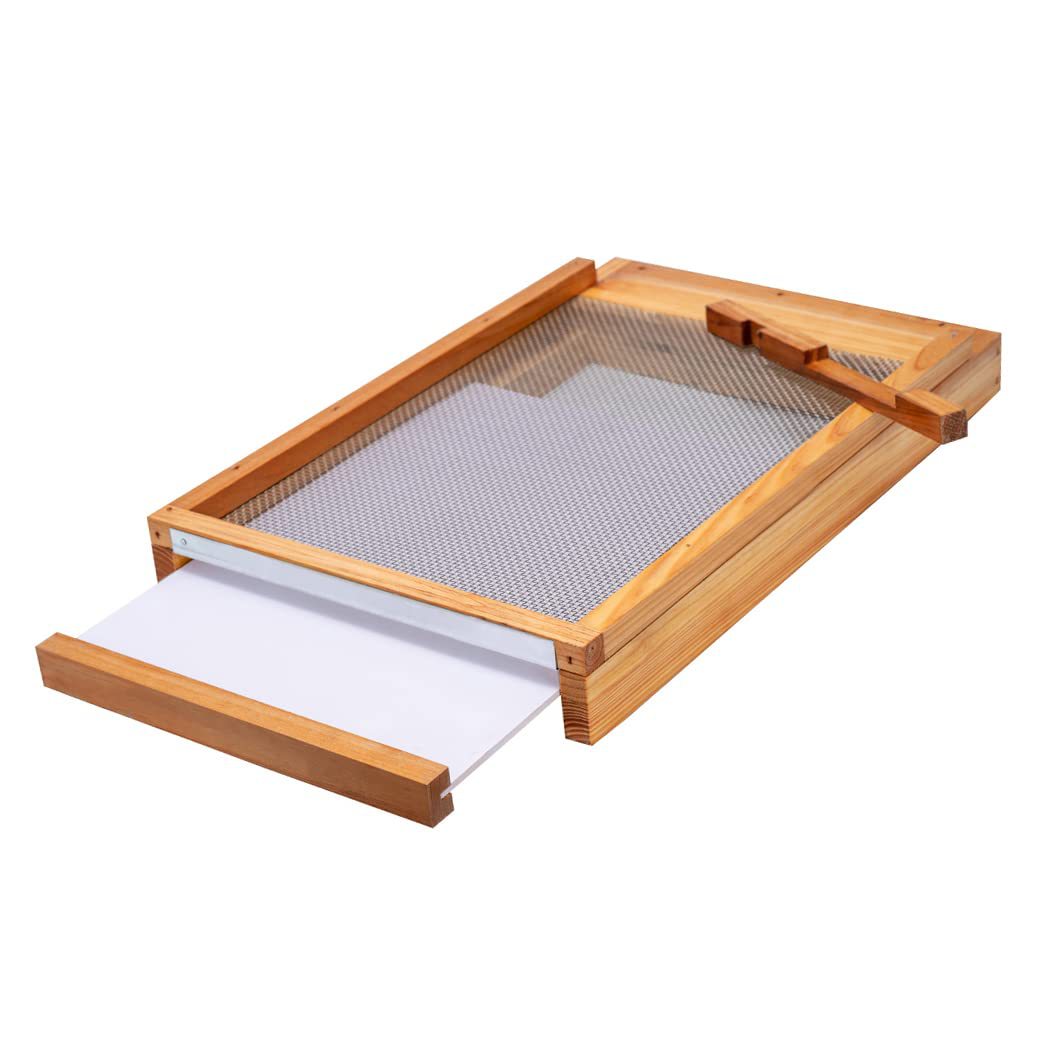 Colmena de diez cuadros con fo - Beehive Frame Wax reseña y precio