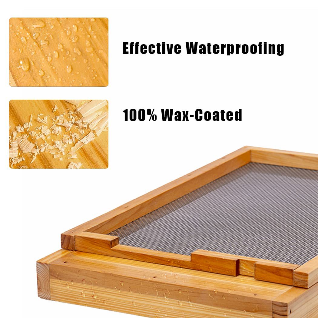 Colmena de diez cuadros con fo - Beehive Frame Wax reseña y precio