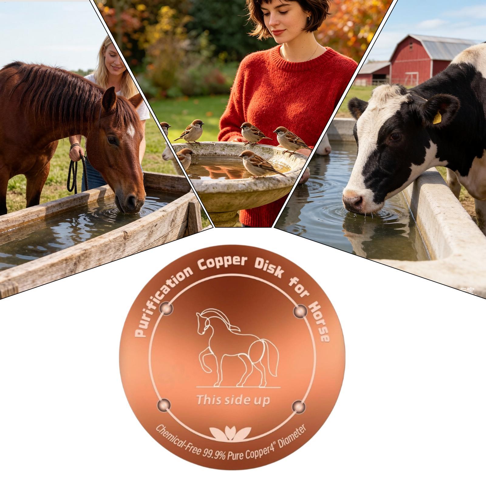 Disco de Cobre Purificador de  - Farming A reseña y precio